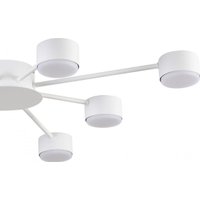 Припотолочная люстра Lumion Torina 8343/8C