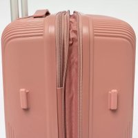 Чемодан-спиннер Francesco Molinary 344-8038/2-24PNK (розовый)