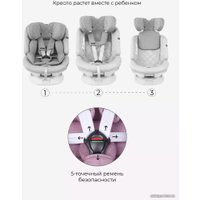 Детское автокресло Rant Nitro Isofix UB619 (серый/розовый)