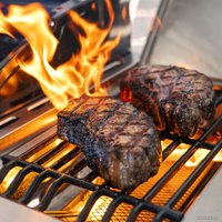 Газовый гриль для дачи Nexgrill Deluxe 720-0958HA