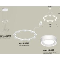 Подвесная люстра Ambrella light XR XR92031901