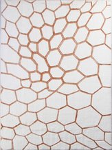 Ковры и ковровые дорожки