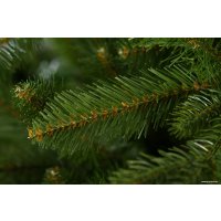 Ель GreenTerra Натурелли 2.2 метра