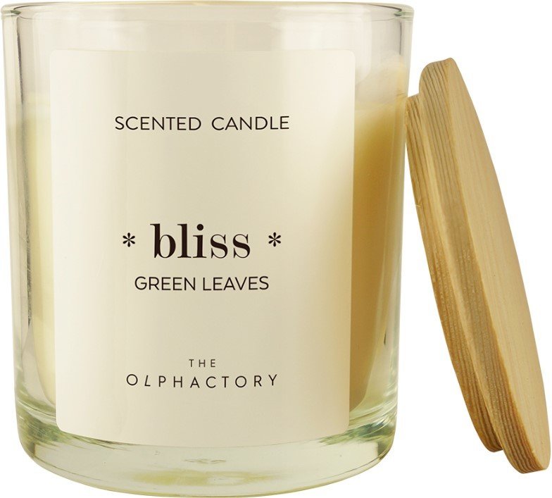 

Ароматизированая свеча Ambientair Bliss Green Rhubarb VV401DLTO