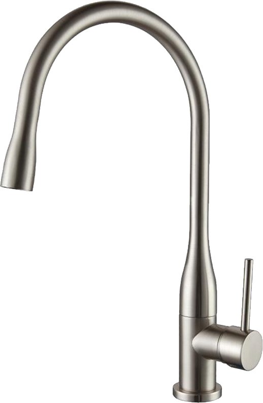 

Смеситель Ganzer Rein GZ 16035G (сатин)