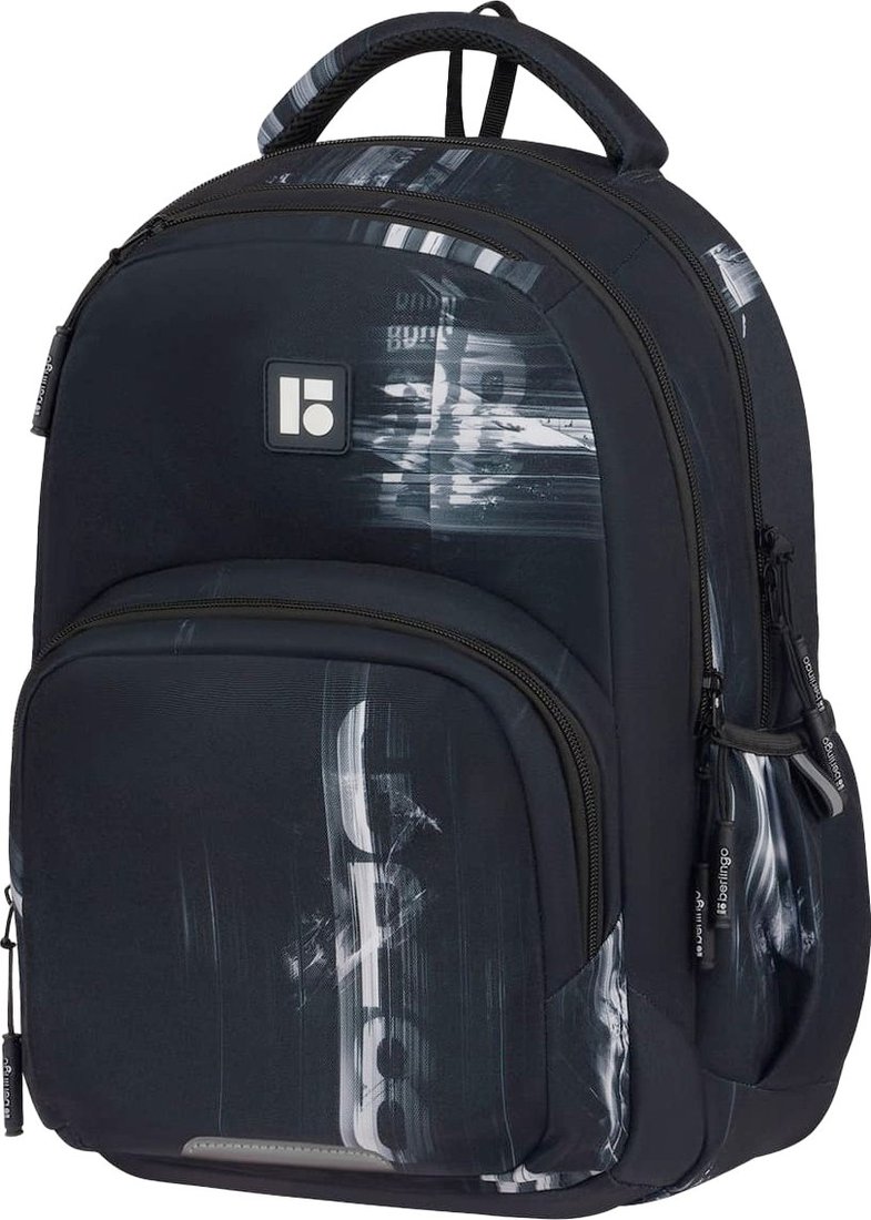 

Школьный рюкзак Berlingo ErgoFlex. GR8 RU-FL-2501