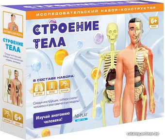 Набор для опытов ND Play Строение тела NDP-119
