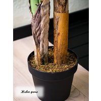 Искусственное растение Merry Bear Home Decor Пальма Ропалостилис Элит A153120 (120см)