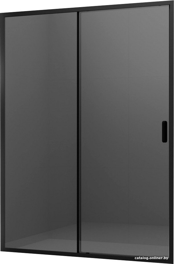 Душевая дверь Ambassador Forsa 100x200 17022216ABB