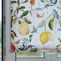 Рулонные шторы Franc Gardiner Print Фрукты 50x160 9403217485 (мультиколор)