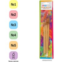Набор кистей ArtSpace белка № 1, 2, 3, 4, 5 SB1-5_2388 (5 шт)
