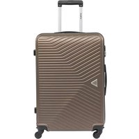 Чемодан-спиннер VALIGETTI 340-1602/5-26DCF (кофе)