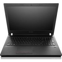 Ноутбук Lenovo E50-80 [80J20154RK]