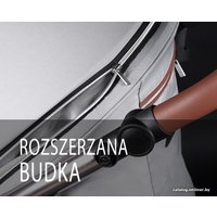 Коляска прогулочная «книга» Coletto Justy (серый)