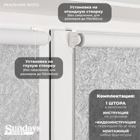 Рулонные шторы Sundays Home LM 97-08 61х160 (светло-серый)