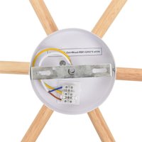 Припотолочная люстра Lumion Vudi 8306/6C