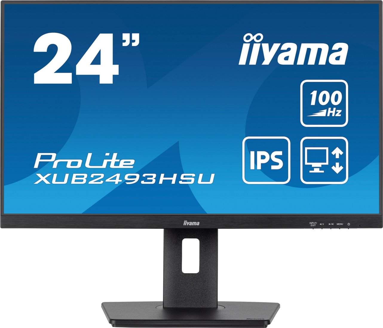 

Монитор Iiyama ProLite XUB2493HSU-B6