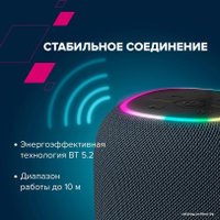 Беспроводная колонка Canyon BSP-8 (бордовый)