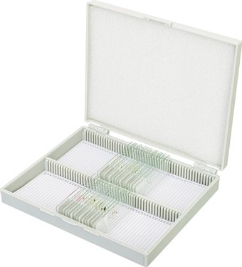 Набор микропрепаратов Bresser «Животные», 30 шт., в кейсе 74559