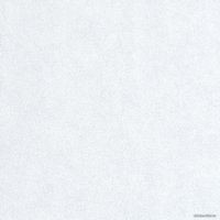 Виниловые обои Erismann Profi Deco 60462-05