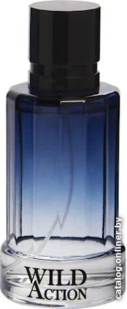 Туалетная вода Real Time Wild Action Men EdT (100 мл)