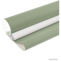 Рулонные шторы Legrand Блэкаут Болид 114x175 58127530 (олива)