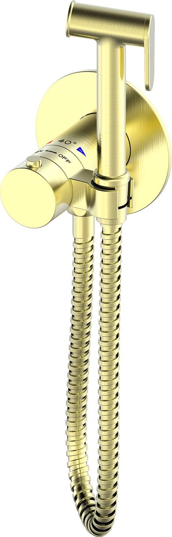 Гигиенический душ Oliveeka 829909 (золотой)