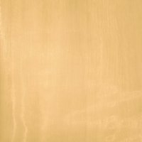 Тюль Belezza Organza 027 Tule T 145x260 (золотой)