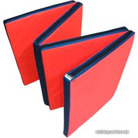 Cпортивный мат Зубрава МТТ1018004 (200х100х4 см)