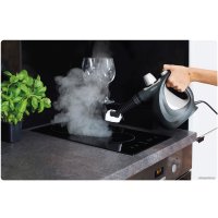 Пароочиститель Zeegma Draden