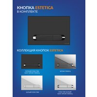 Унитаз подвесной Cersanit Carina New Clean On с инстал. Link Pro (с кнопкой Estetica 64112 черный/хром)