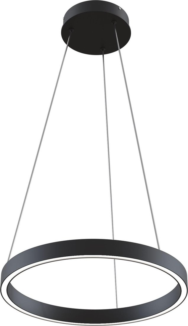 

Подвесная люстра Maytoni Rim MOD058PL-L22BK