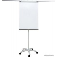 Магнитно-маркерная доска CACTUS CS-FCR-M67x105