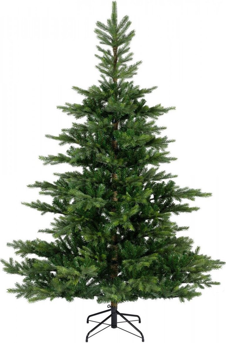 Ель Everlands Грандис 3.6 м