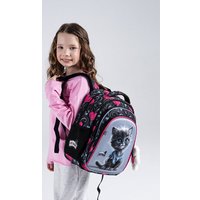 Школьный рюкзак SkyName R2-223 + брелок мишка