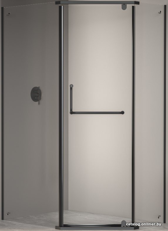 Душевой уголок RGW PA-091-B 35089102-14 120x100 (черный/прозрачное стекло)
