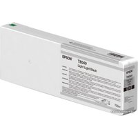 Картридж Epson C13T804900