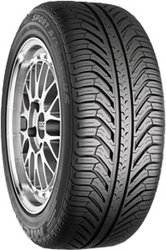 Pilot Sport A/S Plus 225/50R17 94W