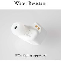 Наушники Final Audio Design ZE3000 (черный)