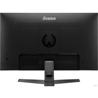 Игровой монитор Iiyama G-Master Black Hawk G2450HSU-B1