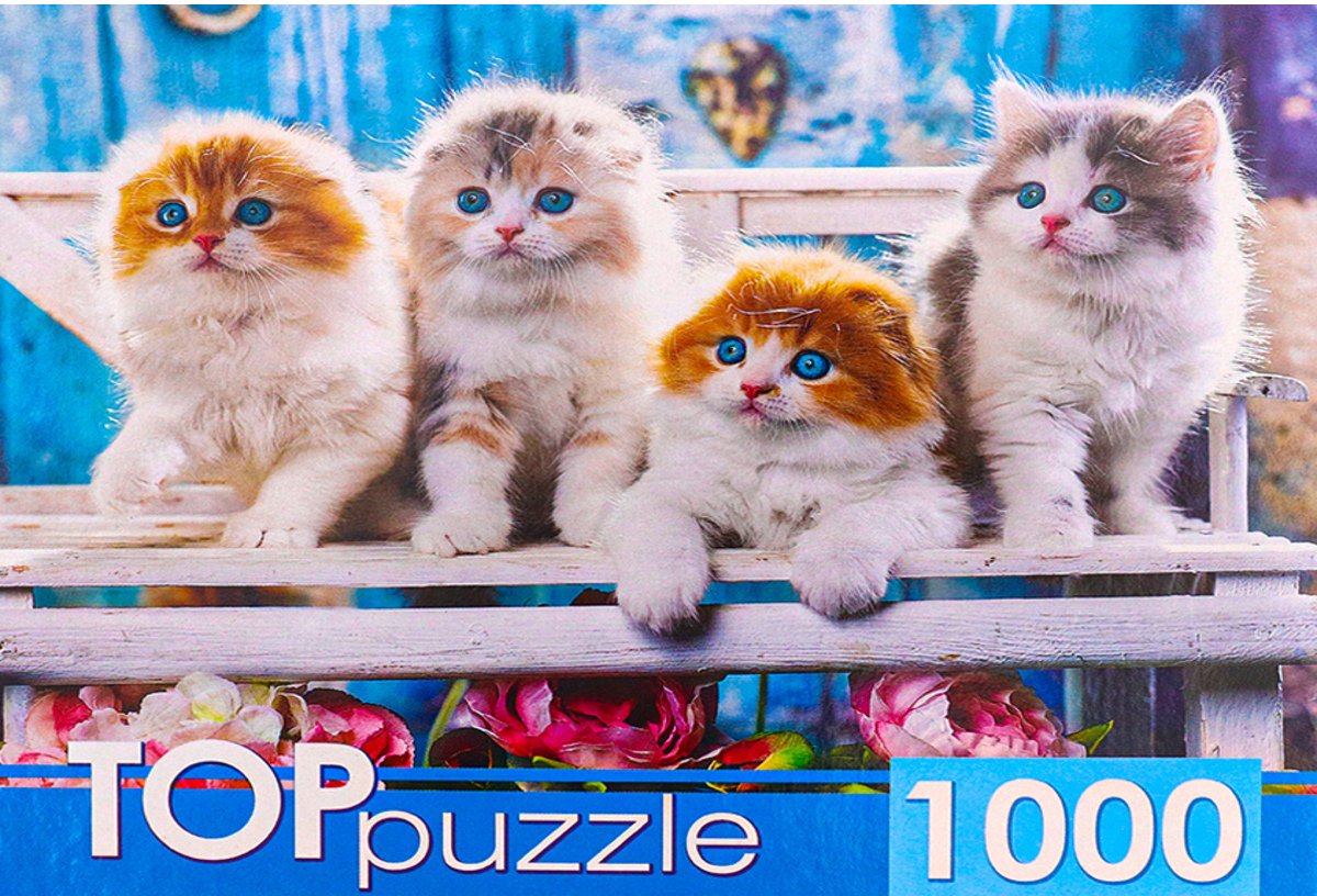 

Пазл Top Puzzle Котята скоттиш фолд