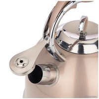 Чайник со свистком Agness 937-851