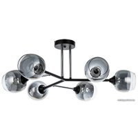 Люстра средней высоты Arte Lamp Salm A3580PL-6BK