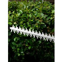 Кусторез Denzel RBC510-36 59410 (с 2-мя АКБ)