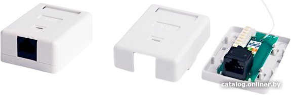Розетка компьютерная Netko 51151