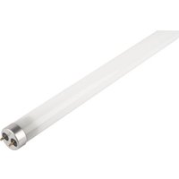 Светодиодная лампочка JAZZway PLED T8 - 900GL 14w FROST 4000K