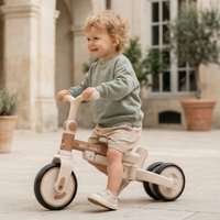 Детский велосипед Bubago Malanka BG 211-2 (коричневый)