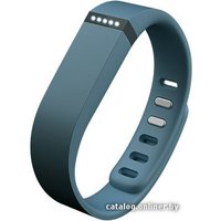 Фитнес-браслет Fitbit Flex