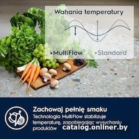 Холодильник Electrolux TwinTech No Frost 600 ENT6ME18S