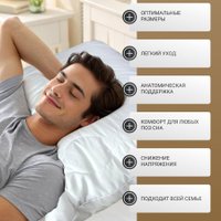 Спальная подушка Mio Tesoro 4сМТ07ар 70x70 в Бресте